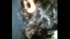 Jouer Minha puta tomando no cu