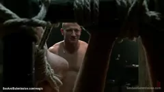 Redare Sclav roșcată supus la BDSM Intense Fucking
