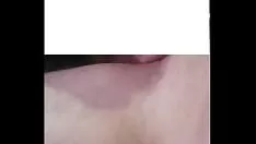 Reproducir Kailgiala no querí acento pero cuando me la vio jaset downosela se le antojo eiki y terminusino cogiencovered Stadiumla