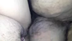Oynat Latince bd yarak alır