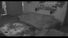 Oynat Gizli kam eğlence