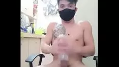 Jouer Apprivoiser le pinoy #4