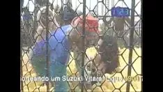 Jouer Perdidos na tarde - tigresas na jaula